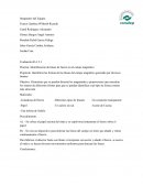 Practica: Identificación de líneas de fuerza en el campo magnético