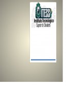 PRESUPÚESTO DEL SECTOR PUBLICO DEL MUNICIPIO DE SALVATIERRA.