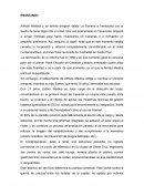 Estrategia empresarial - Ensayo