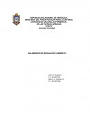 Aglomerantes hidraulicos (cemento)