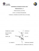 RESEÑA DE UN ESPECTÁCULO DE DANZA.