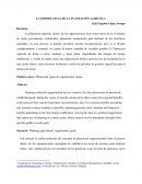 LA IMPORTANCIA DE LA PLANEACIÓN AGRÍCOLA