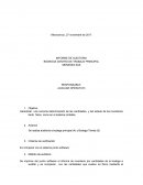 INFORME DE AUDITORIA BODEGAS CENTRO DE TRABAJO PRINCIPAL