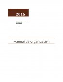 Estructura Organizacional de la Empresa (Organigrama)
