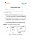 Establecer los pasos a seguir para la realización de una limpieza CIP efectiva de las membranas de Osmosis Inversa.