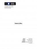 Como se da el Ensayo crítico del paradigma cognitivo conductal