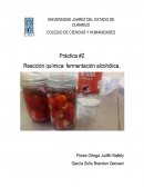 Práctica #2 Reacción química: fermentación alcohólica