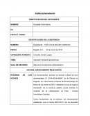 Ejemplo de un gran Analisis juriprudencial