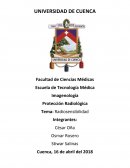 Dependiendo del tipo de célula con la que la radiación entre en contacto, pueden existir 5 niveles de radiosensibilidad