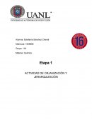 COMO SE DA ACTIVIDAD DE ORJANIZACIÓN Y JERARQUIZACIÓN