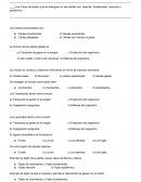 Los 4 tipos de tejidos que se distinguen en las plantas son: vascular, fundamental, conectivo y epidérmico.