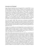 Ejemplo de los Indicadores financieros