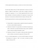 Diseño organizacional