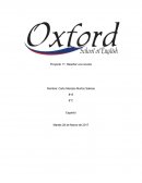 Reseñar una novela Proyecto