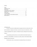 Como se da el Informe de mecanica de suelos (extracion de muestras)