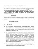 CONTRATO DE PRESTACIÓN DE SERVICIOS DE CONSULTORÍA