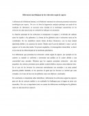 Ensayo sobre diferencias de eritocitos Diferencias morfológicas de los eritrocitos según la especie