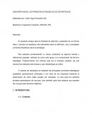 Ensayo de estrategia