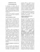 Desarrollo economico local