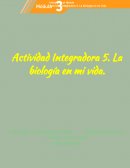 Cual es la Actividad Módulo 2