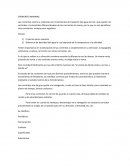 CPRRIENTES MARINAS