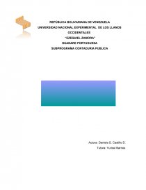 SUBPROGRAMA CONTADURIA PUBLICA. Página 1