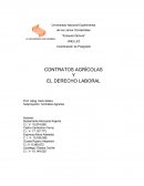 Coordinación de Postgrado CONTRATOS AGRÍCOLAS