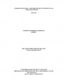 ¿Por qué realizar la descripcion de funciones en las organizaciones?