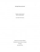 INVESTIGACIÓN EVIDENCIA Y VULNERACION DIGNIDAD HUMANA