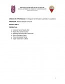 PRODUCTO/SERVICIO: DISEÑO, CONCEPTO, MARCA, EMPAQUE, CONTENIDO, CARACTERISTICAS ORGANOLEPTICAS