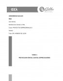 Tarea 4 proyecto empresarial PROYECTOS EMPRESARIALES 2