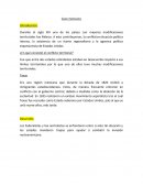 Las mejores Aguas andinas