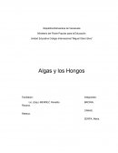 Unidad Educativa Colegio Internacional “Miguel Otero Silva”