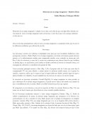 Ensayo de memorias de un amigo imaginario