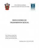 Infecciones de Transmisión Sexual