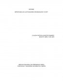 Informe CONTROLES Y SEGURIDAD INFORMATICA 1658736