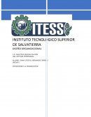 IMPORTANCIA DE LAS ORGANIZACIONES EN NUESTRO ENTORNO