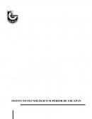 Estudio de Mercado SIGNAL-TENA