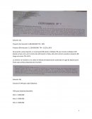 De acuerdo a esta situación, en el proyecto BB existen múltiples TIR