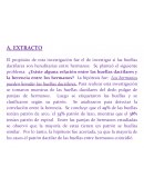 Las Huellas Dactilares EXTRACTO