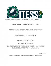 COMO ESTA CONSTITUIDO EL PRESUPUESTO DEL SECTOR PÚBLICO DEL MUNICIPIO DE ACÁMBARO.. Página 1