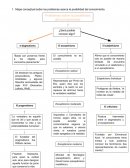 Desarrollo de lo que es un beun Mapa conceptual sobre los problemas acerca la posibilidad del conocimiento.
