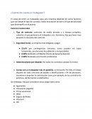 Ensayo osbre Evaluación de proyectos