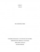 Ensayo ADMINISTRACION COMERCIAL Y FINANCIERA