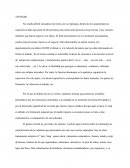 La perfección ensayo