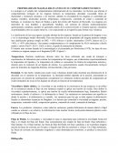 CUALES SON LAS PROPIEDADES DE MAGMAS