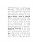 Como se da el nuevo Protocolo de sociedad de responsabilidad limitada