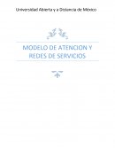 MODELO DE ATENCION Y REDES DE SERVICIOS