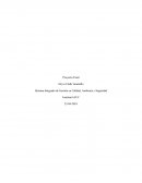 El gran Proyecto Final (SISTEMA INTEGRADO DE GESTION EN CALIDAD, AMBIENTE Y SEGURIDAD)