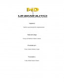 Análisis experimental del comportamiento